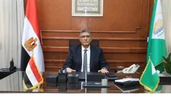 المهندس عادل النجار، محافظ الجيزة