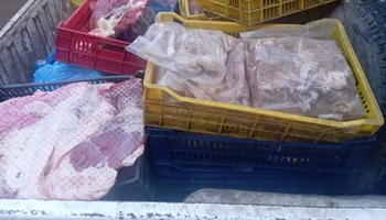 لحوم فاسدة 