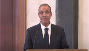 وزير الخارجية بدر عبد العاطي
