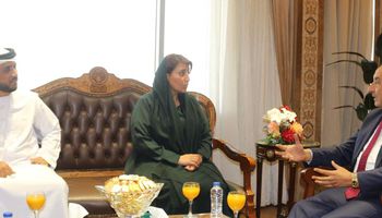 وزير قطاع الاعمال أثناء لقاء سفيرة الامارات