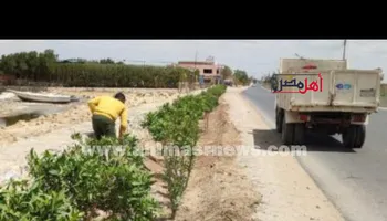 مبادرة الرئاسة مليون شجرة