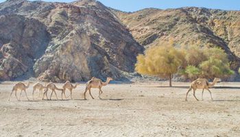 قريتي «غرب سهيل» و«أبو غصون» 