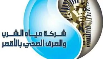 الشركة 