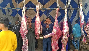 بيع اللحوم بأسعار مخفضة 