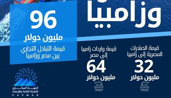 96 مليون دولار  حجم التبادل التجاري بين مصر وزامبيا خلال عام 2024.