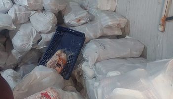 ضبط دواجن فاسدة