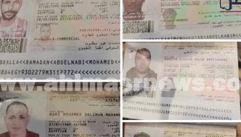 الضحايا