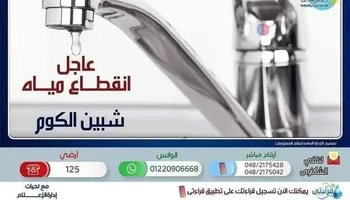 شبين الكوم 