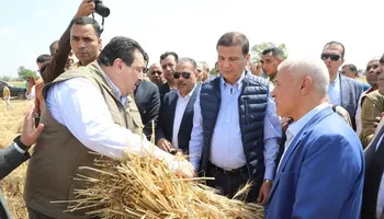 وزير الزراعة خلال موسم حصاد القمح