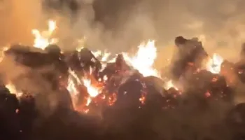 جانب من الحريق 