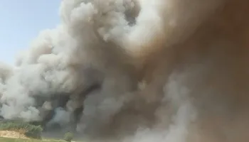 جانب من الحريق 