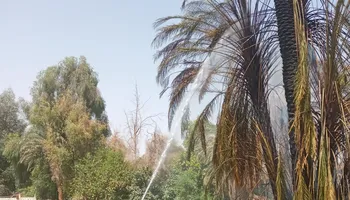 جانب من الحريق 