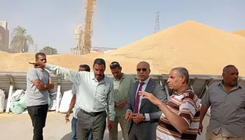 متابعة توريد القمح في قنا 