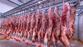 أسباب عدم استقرار أسعار اللحوم مقارنة بالسلع التموينية 