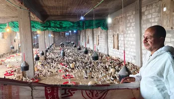 المسح 