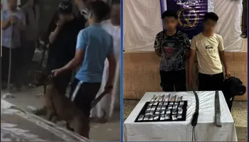 المتهمين 
