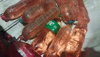 المضبوطات