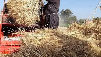 أرشيفية 