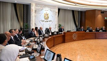 أيمن العشري 
