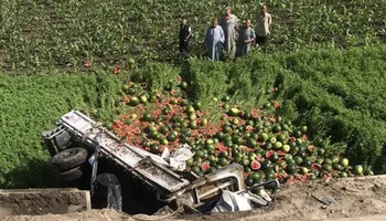 إنقلاب سيارة بطيخ