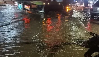 المنوفية