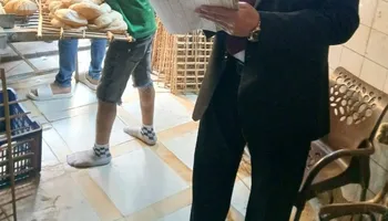 المنوفية