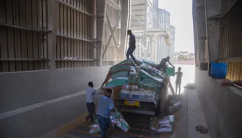 توريد القمح في الإسكندرية