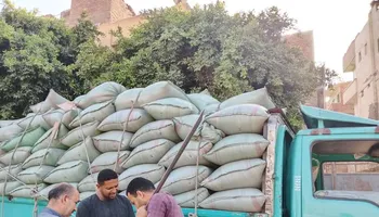 جانب من التوريد 