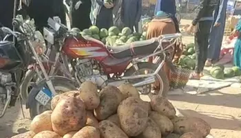 جانب من الجولة 