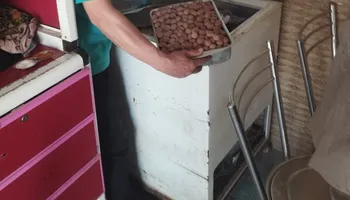 جانب من الحملات التفتيشية 