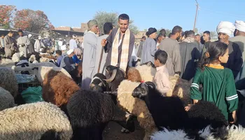 جانب من بيع المواشي 