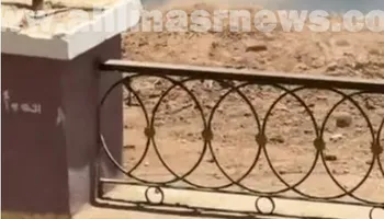 جانب من ردم شاطئ النيل