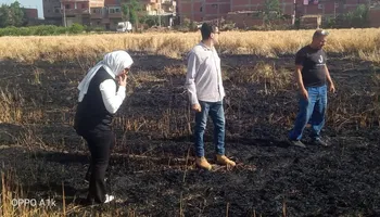 حريق محصول قمح 