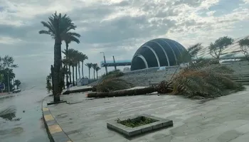 خسائر عاصفة الإسكندرية