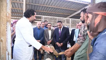 محافظة مطروح 