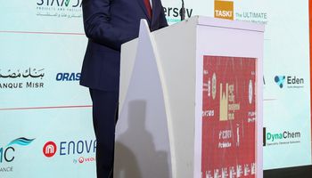 وزير قطاع الاعمال