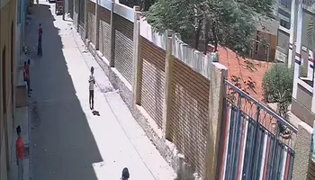 أطفال قرية أولاد عزاز يلعبون عصابة الشوارع بالسنج والسكاكين 