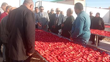 المشروعات 