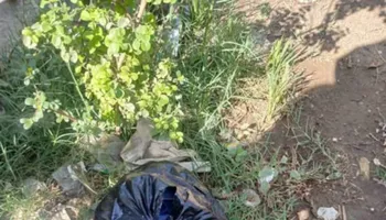 العثور على على جثة رضيعة حديثة الولادة بنجع حمادي 
