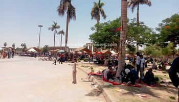 الأهالي 