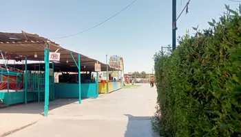 الأقصر 