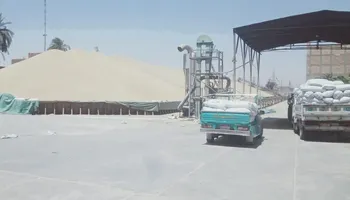 القمح