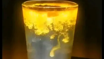 الكركم المضئ