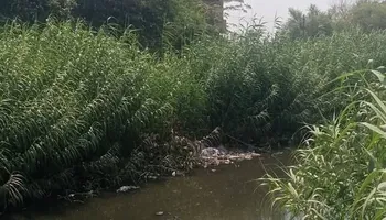الحادث 