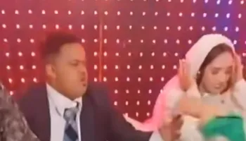 العروسان 