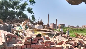 المنوفية
