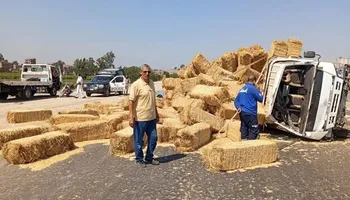 المنوفية