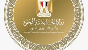 بيان الخارجية المصرية
