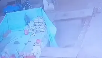 جانب من الحادث 