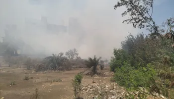 جانب من الحرائق 
